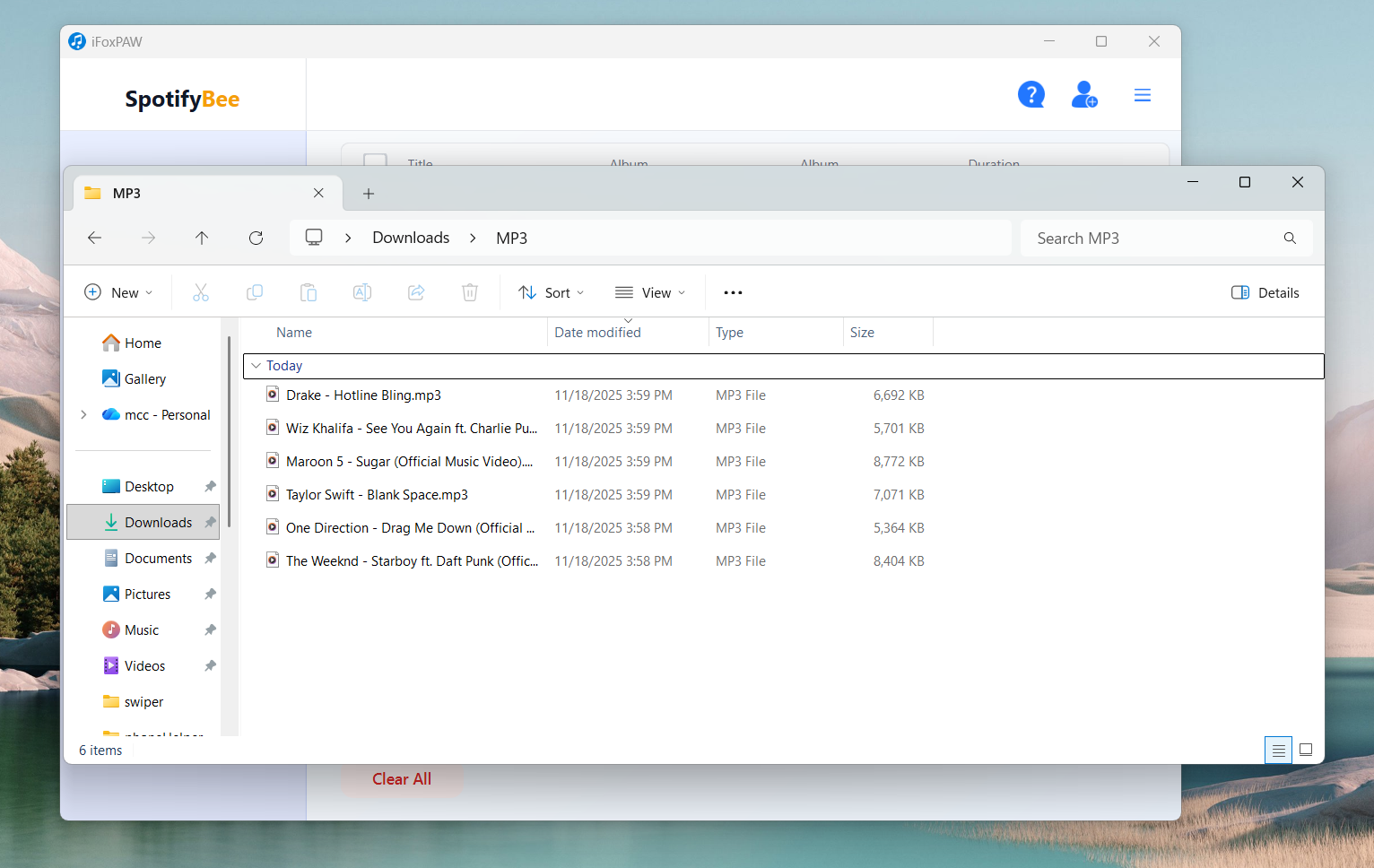SpotifyBee Musik-Downloader